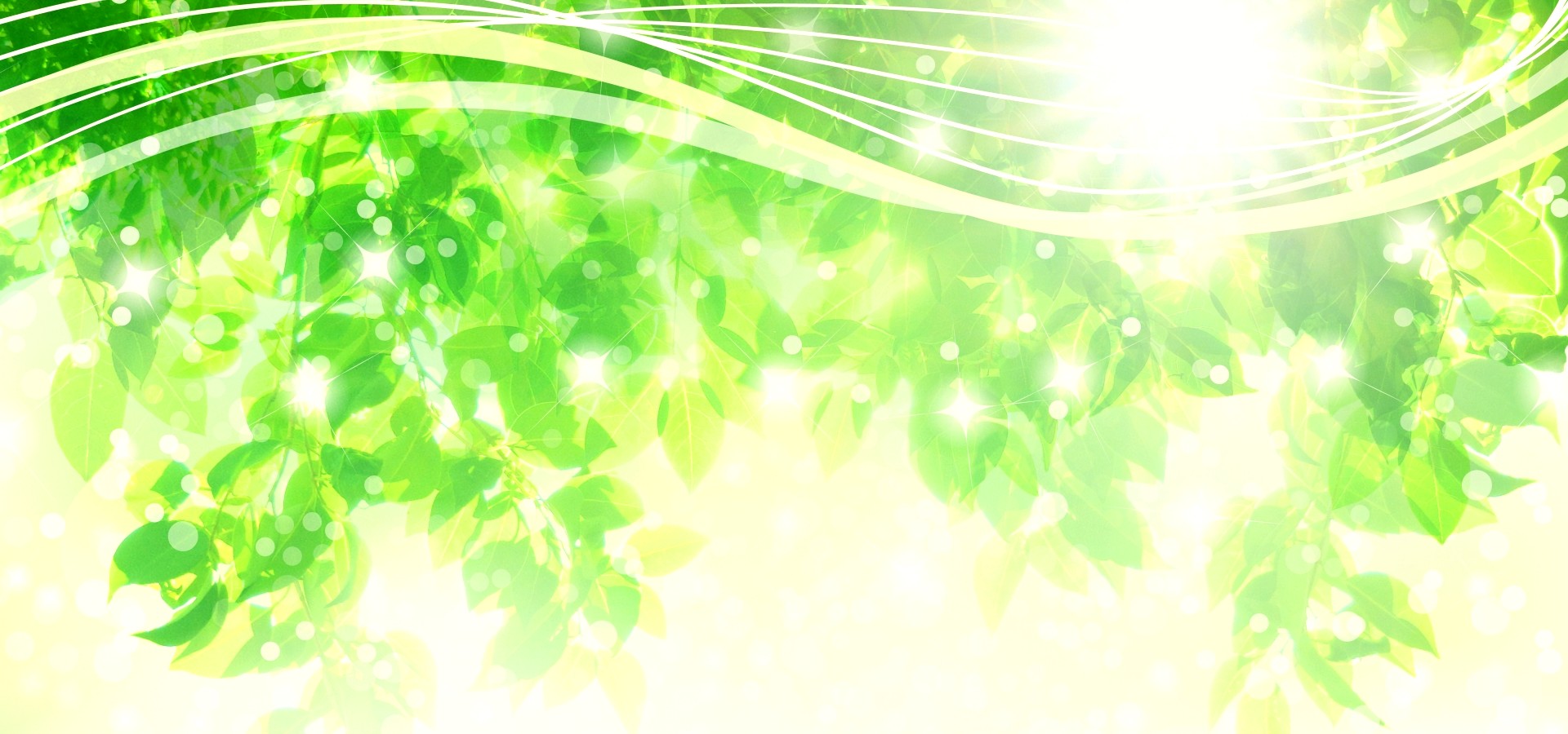 木漏れ日の背景